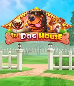 From Pragmatic Play comes The Dog House, bringing you a delightful experience through charming canines. Discover features including free spins, perfect for delivering joyful moments. Perfect for those who enjoy a cheerful theme with a chance for big wins.