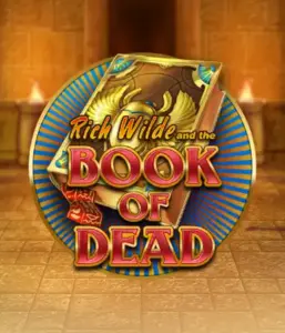 Embark on the thrilling world of Book of Dead Slot by Play'n GO, featuring vivid graphics of Rich Wilde’s adventurous journey through ancient Egyptian tombs and artifacts. Uncover lost riches with exciting mechanics like free spins, expanding symbols, and a gamble option. Ideal for those seeking adventure with a desire for thrilling discoveries.